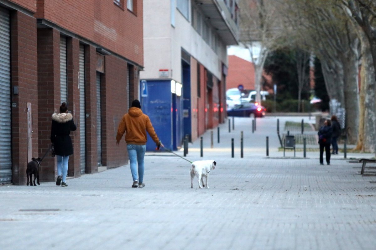 Dues persones passejant gossos a Mollet en una imatge d'arxiu