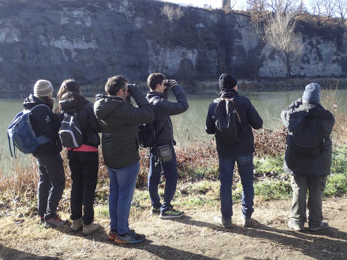 Grup de voluntaris identificant ocells al camí vora Ter, entre les Masies de Roda i Manlleu
