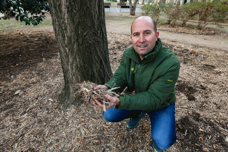 Jordi Senmartí mostra el ‘mulch’, al parc Balmes de Vic.