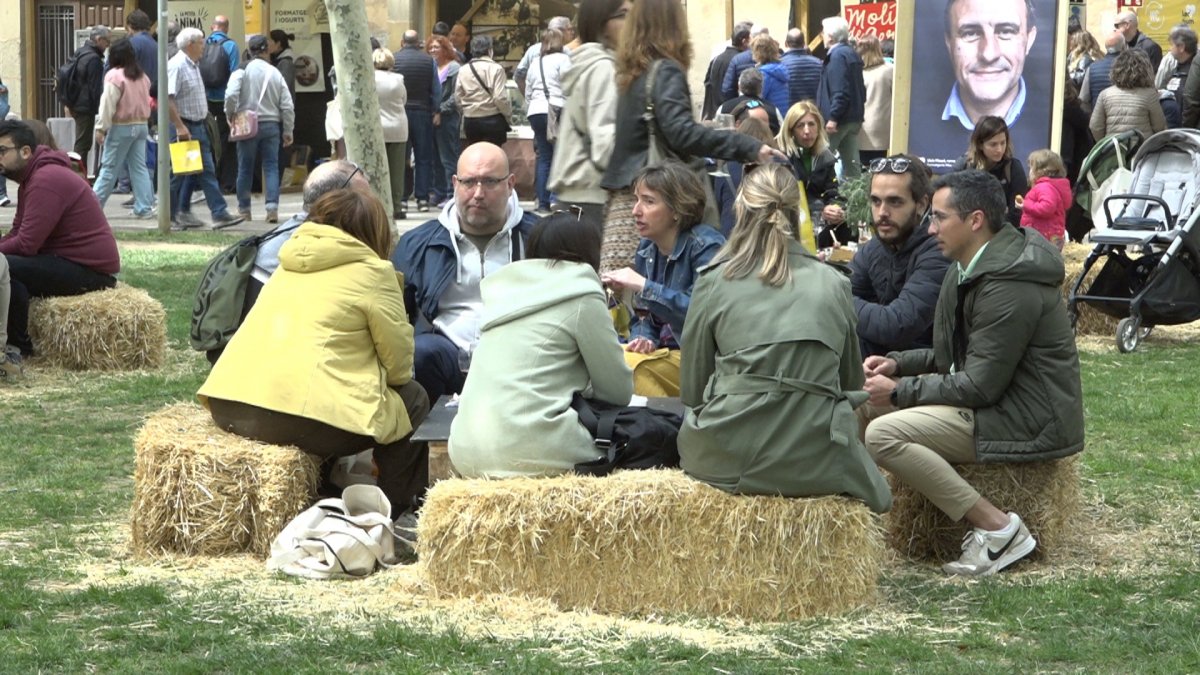 La mostra de formatges es va tornar a desplegar al Parc Jaume Balmes de Vic