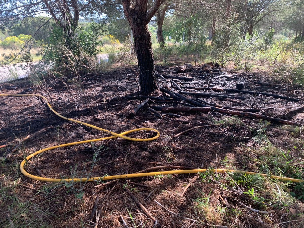 La zona cremada aquest dissabte prop del pavelló