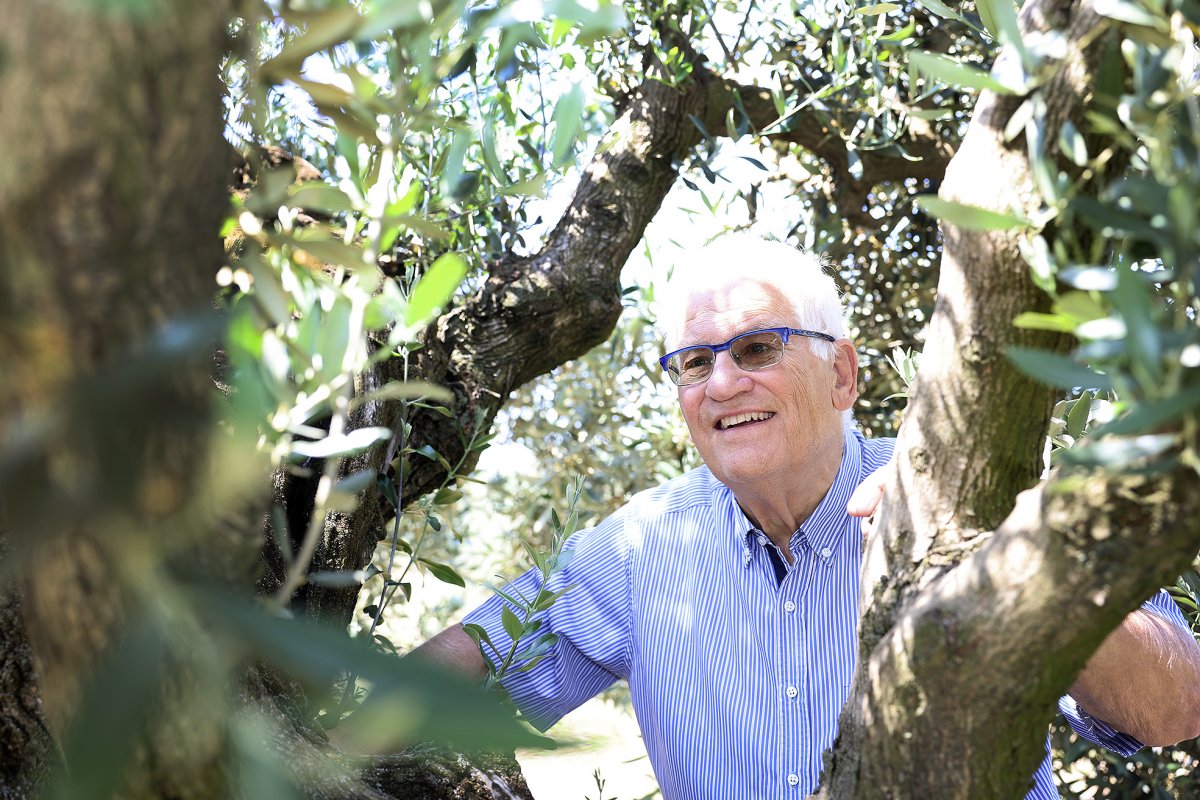 Francesc Sagalés, productor d'oli d'oliva a l'Agrícola Mas Curró de Caldes de Montbui