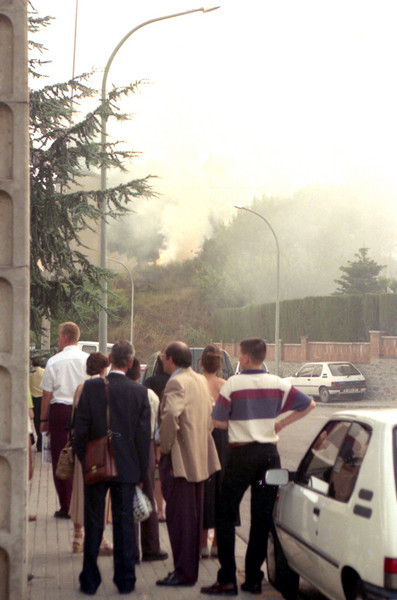 Veïns observen l'efecte de les flames al bosc el 1994