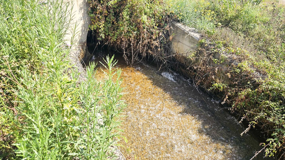 El canal de sortida de l'EDAR cap al Besòs aquest dijous