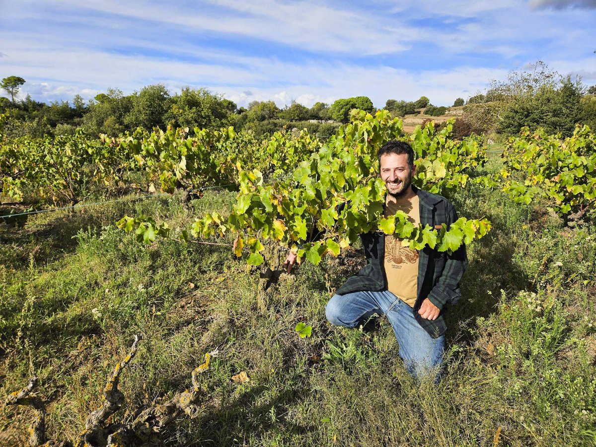 Albert Castells, la setmana passada a peu de les vinyes històriques de la finca de l’Escapada, a Sant Feliu Sasserra, on fa uns dies van completar el procés de verema