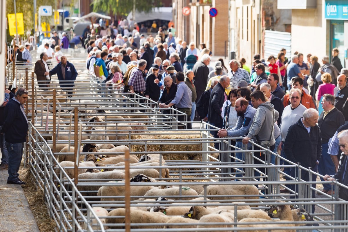 Els corrals d'ovelles al carrer Mossèn Cinto Verdaguer