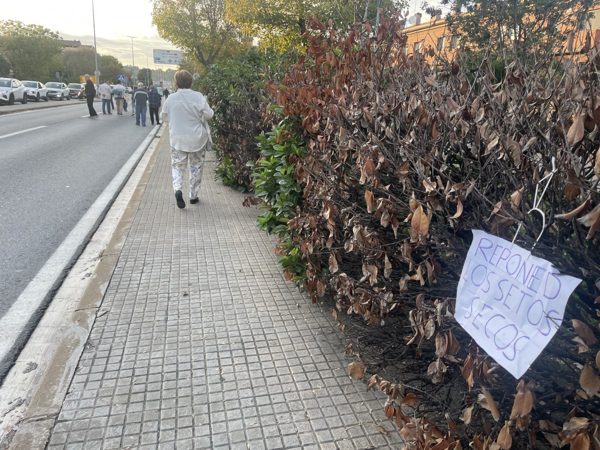 Arbustos secs al costat de la ronda Sud