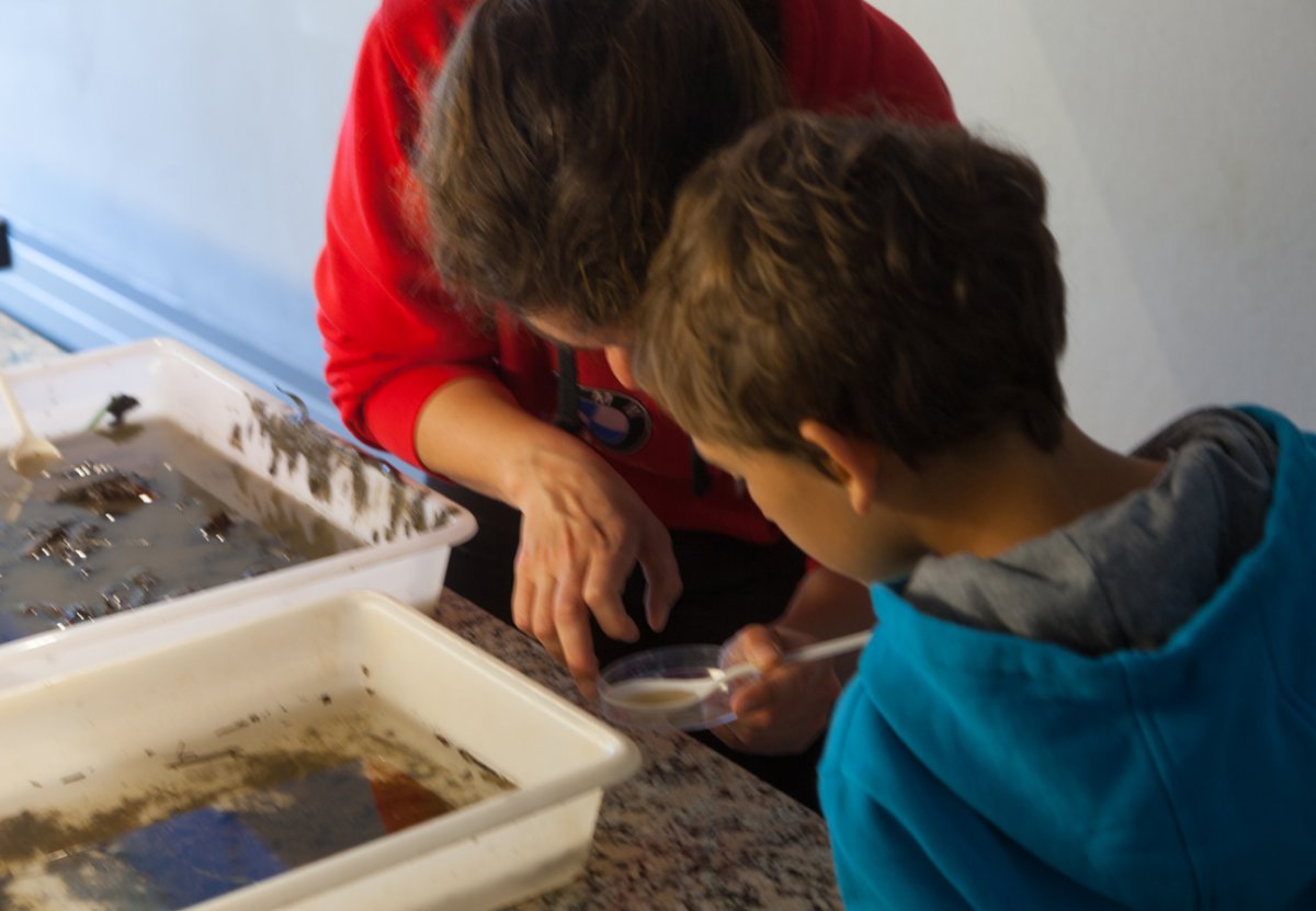 La proposta combina activitat de camp i també de laboratori