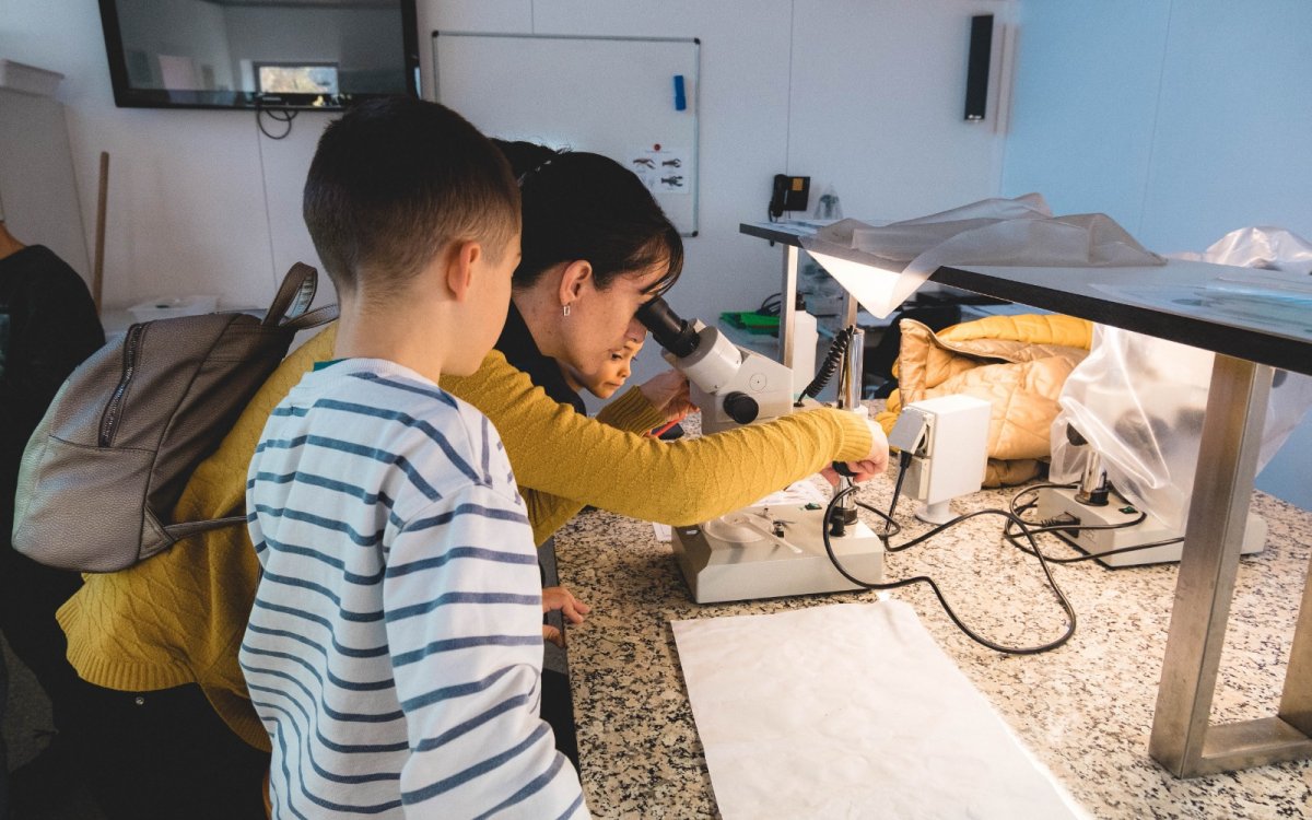 La proposta combina activitat de camp i també de laboratori