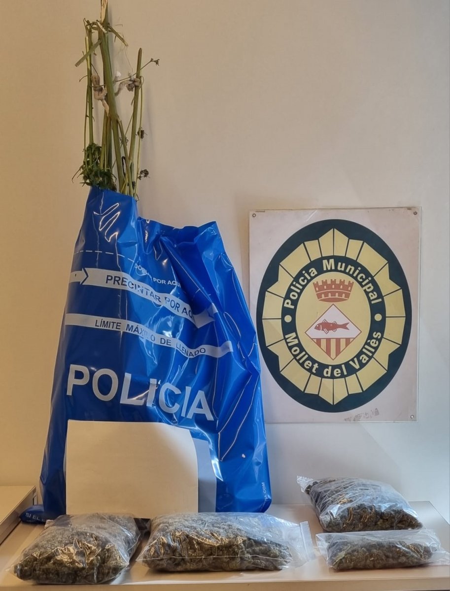 La droga intervinguda per la Policia Municipal de Mollet