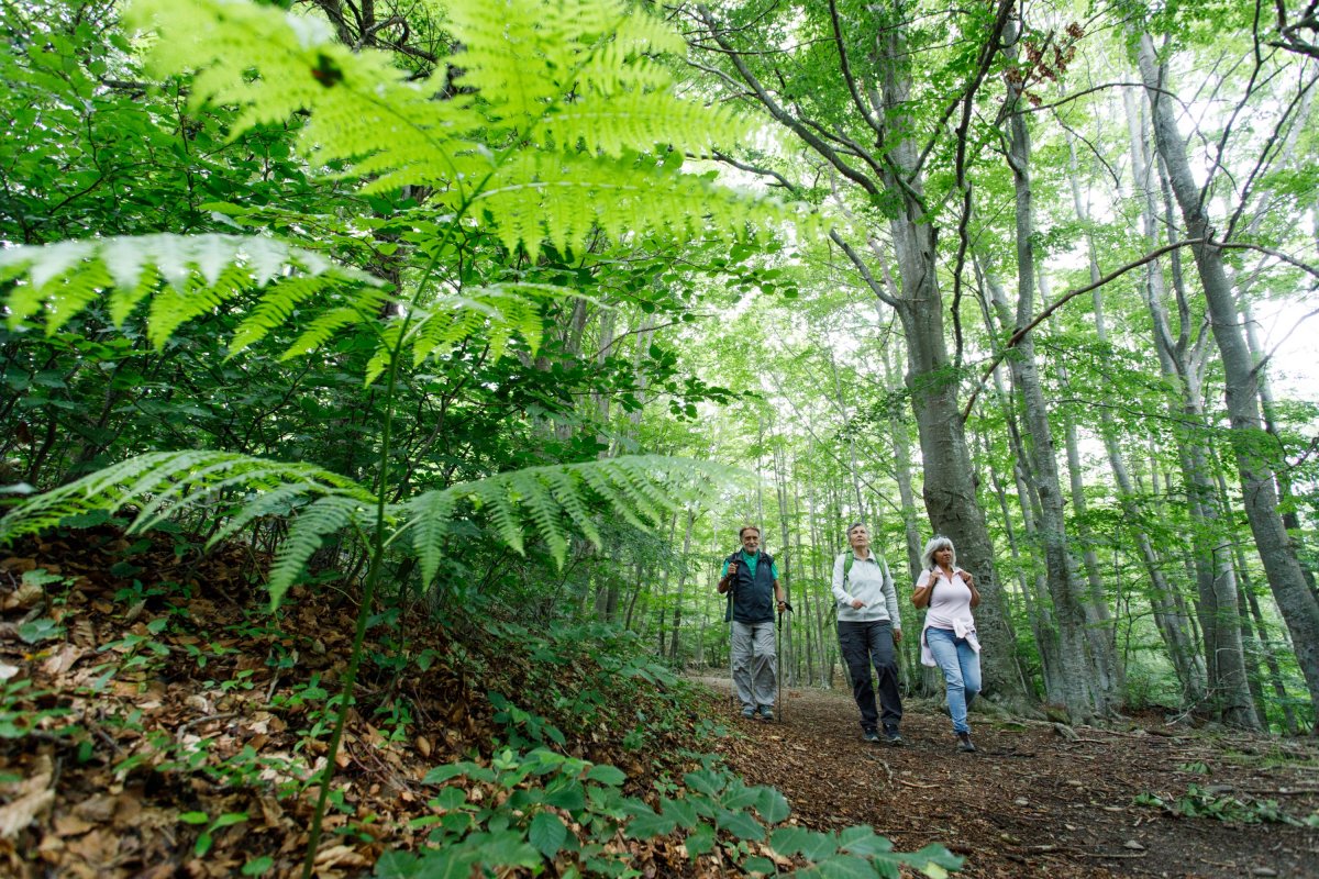 La desestacionalització és l’objectiu principal de la ‘Ruta dels sis sentits’ del Montseny