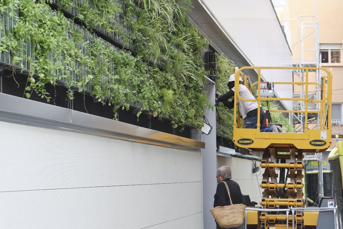 Els treballs per muntar el jardí vertical al mercat