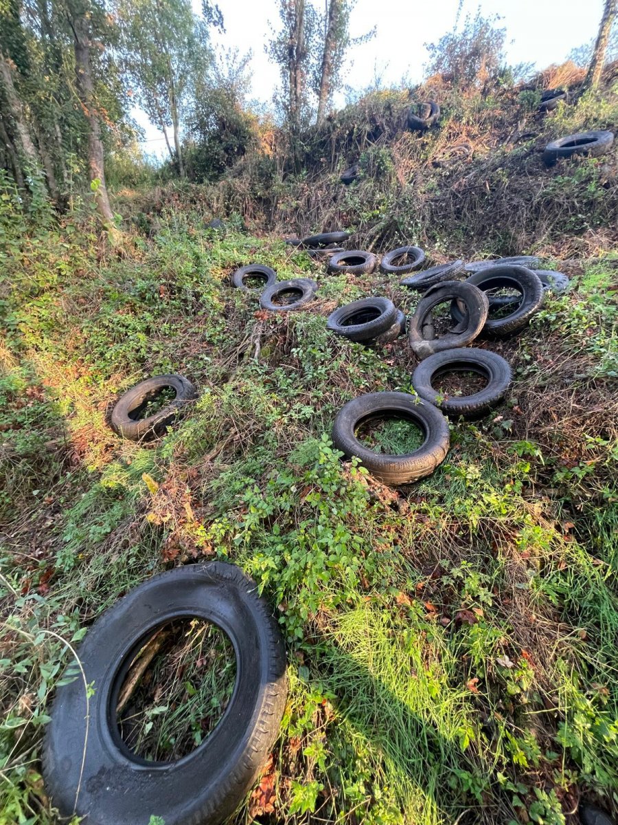 Estesa de pneumàtics a la zona de les Cases. Se n'hi han comptat en total uns 150