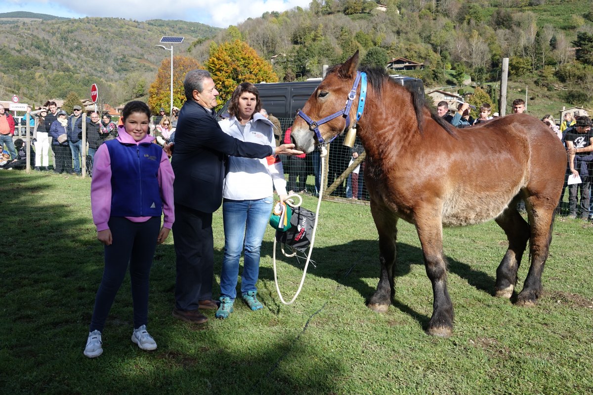 L'animal ja s'havia imposat en la seva categoria al concurs comarcal de Molló