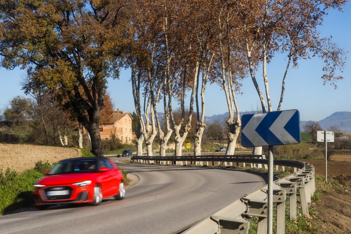 El punt on se salvaguardaran els arbres fent passar els vehicles a banda i banda