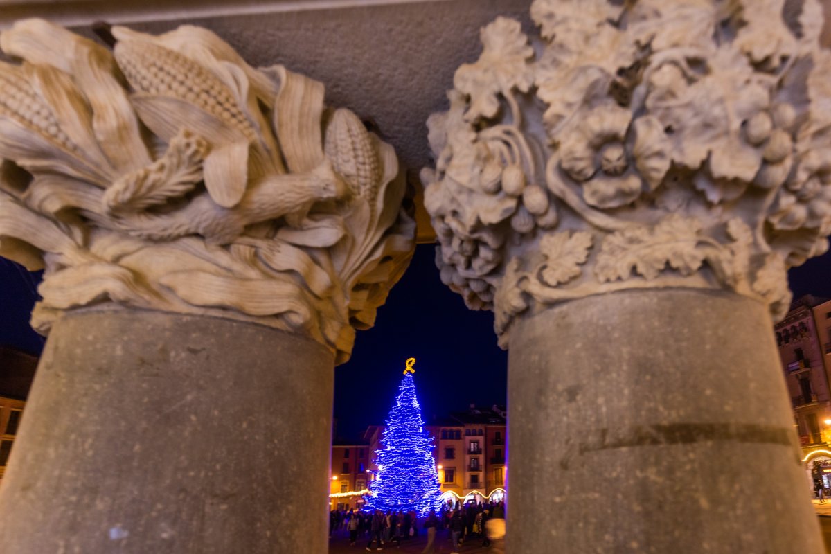 Arbre de la plaça Major de Vic