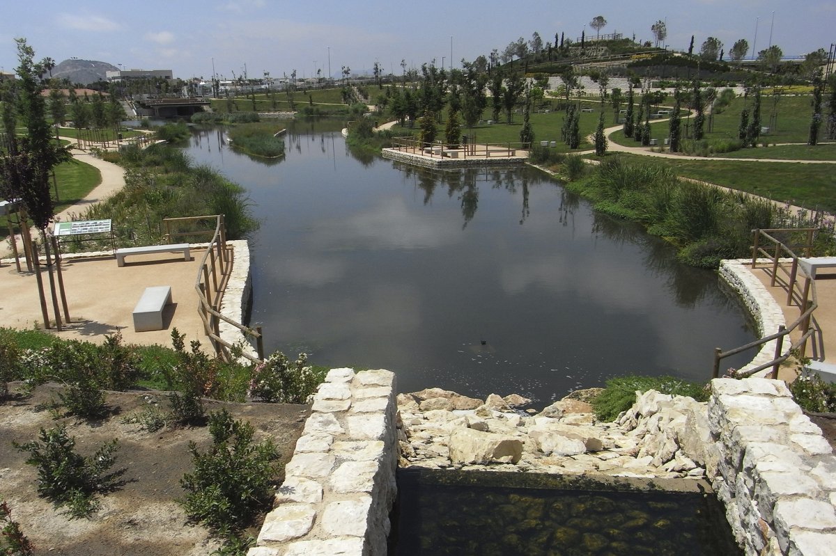 Parc inundable La Marjal a Alacant