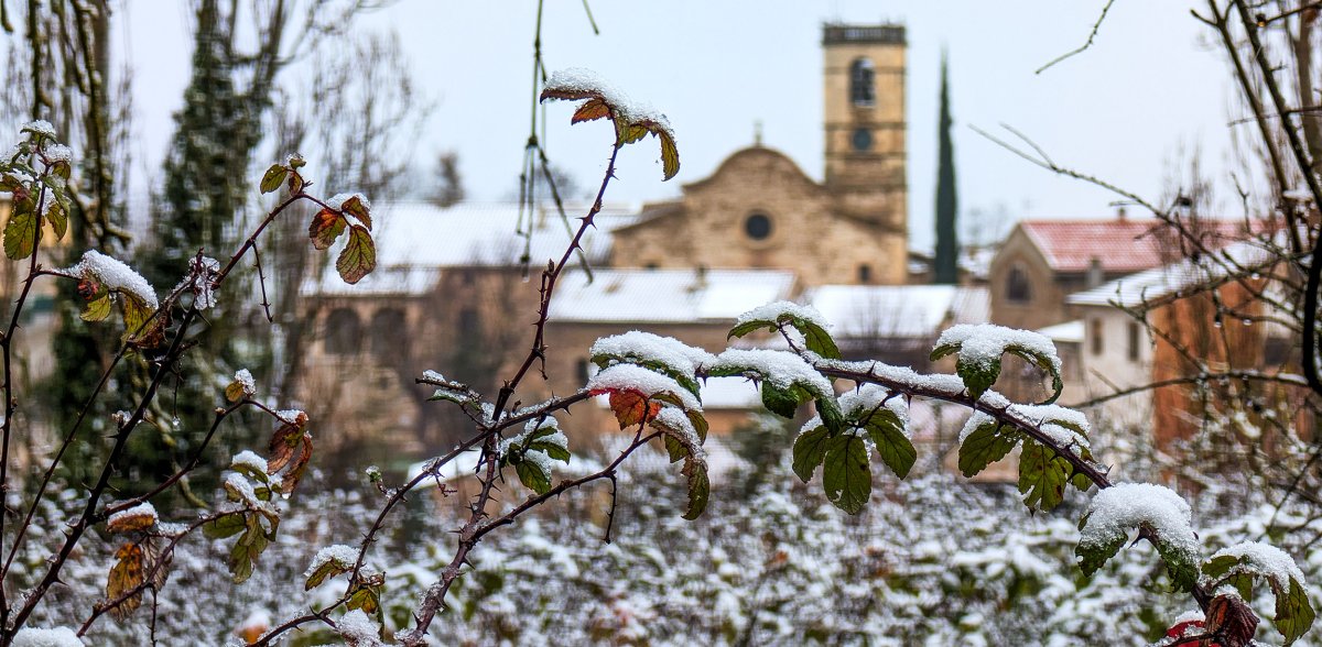 L'enfarinada d'aquest dimecres a Sant Bartomeu del Grau