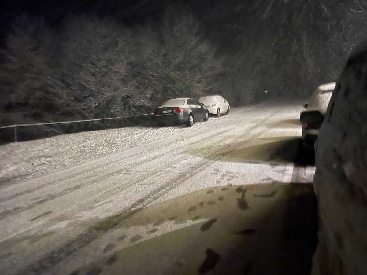 La carretera d'Espinavell, a Molló, aquest dissabte al vespre