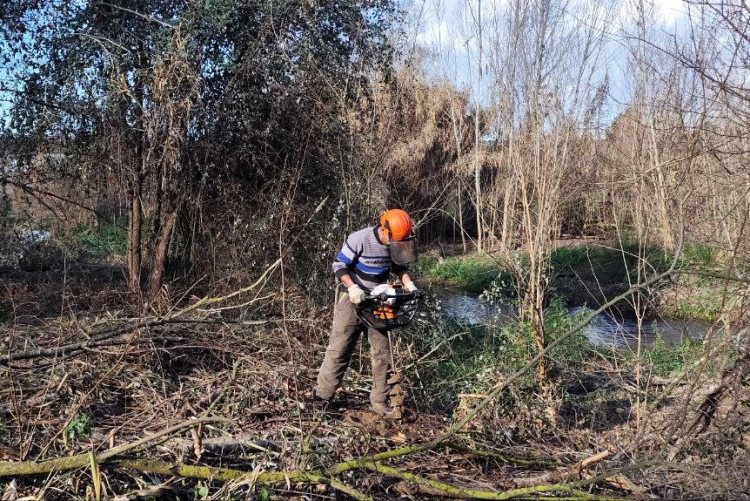 Un treballador fa les tasques de recuperació del Bosc de Santa Caterina de Montornès