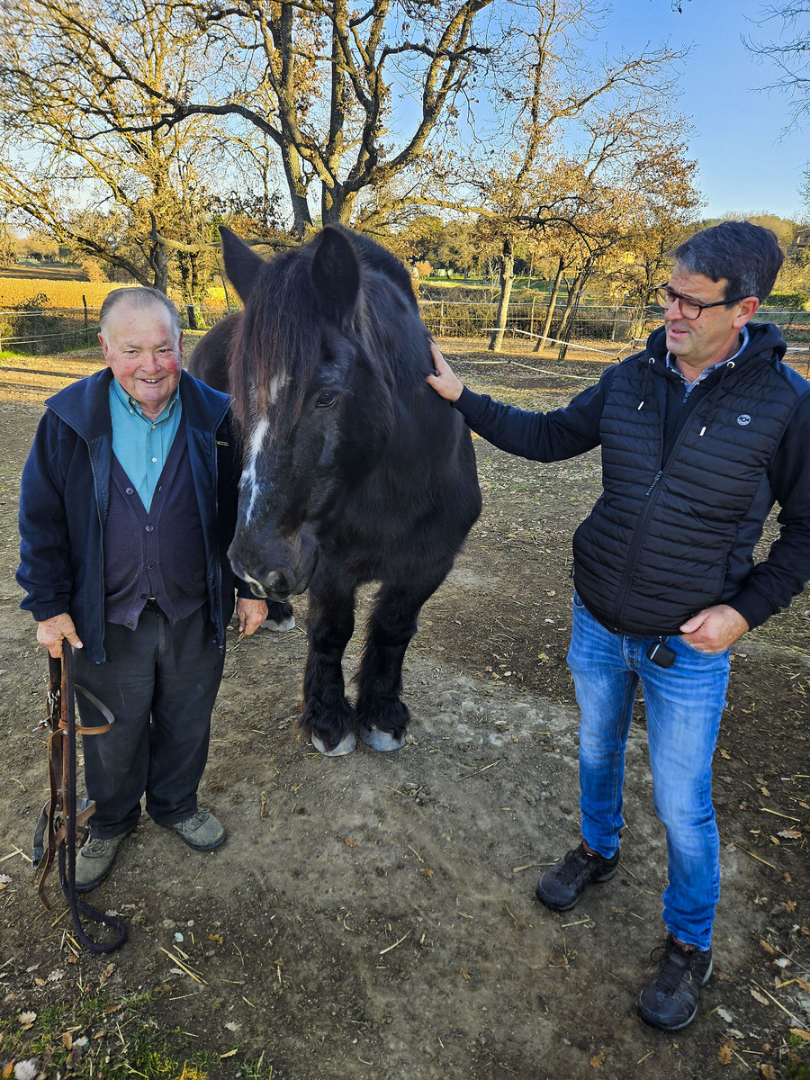 Jordi Sayós i Josep Preseguer amb en Poli, un dels tres cavalls d'enganxar que queden a Taradell