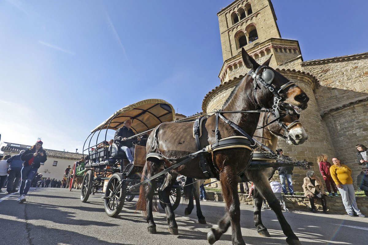 Els Tonis de Santa Eugènia de Berga, tot un clàssic d'aquestes dates