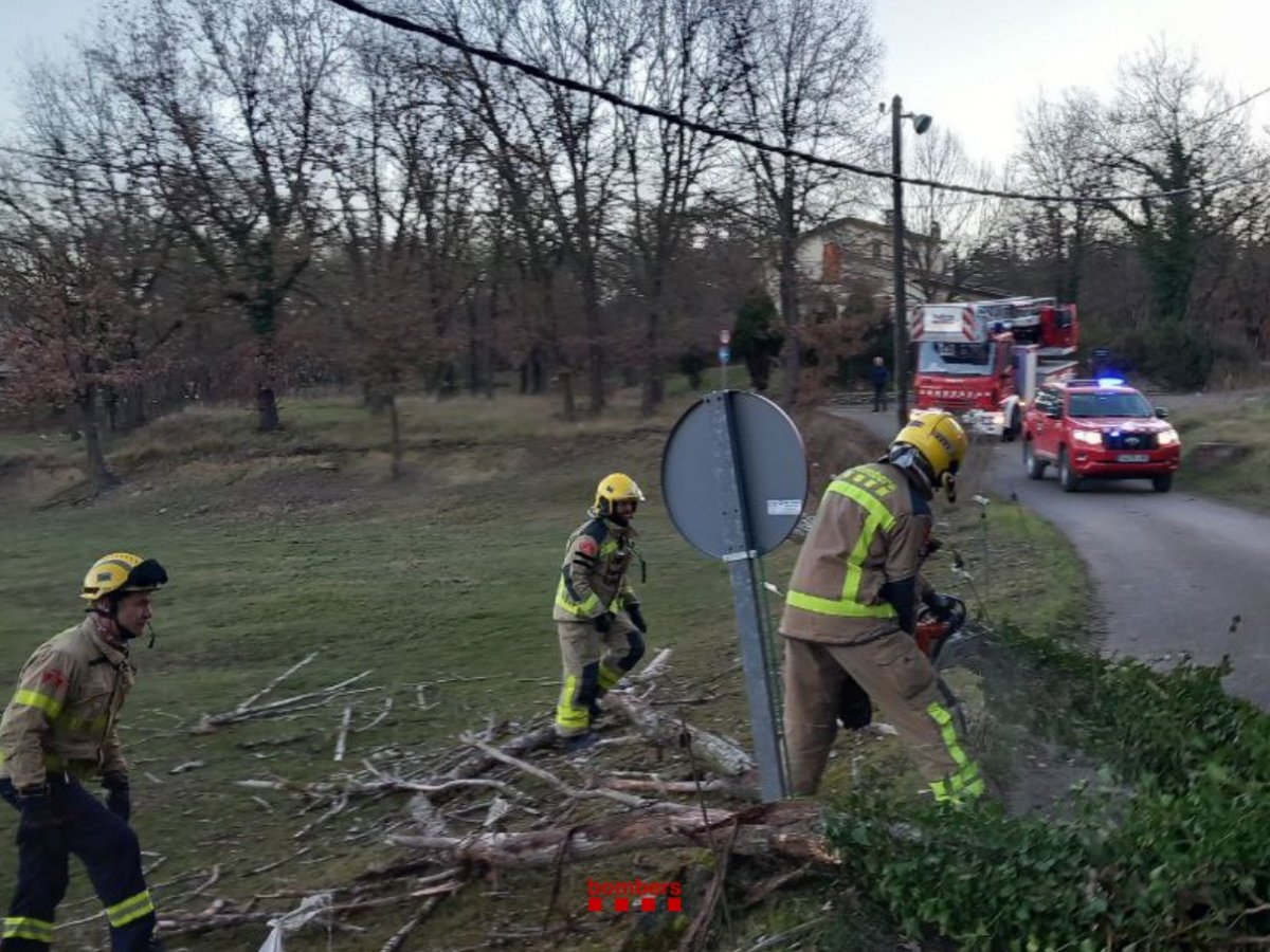 Els Bombers, treballant aquest matí en l'arbre caigut a Tavèrnoles