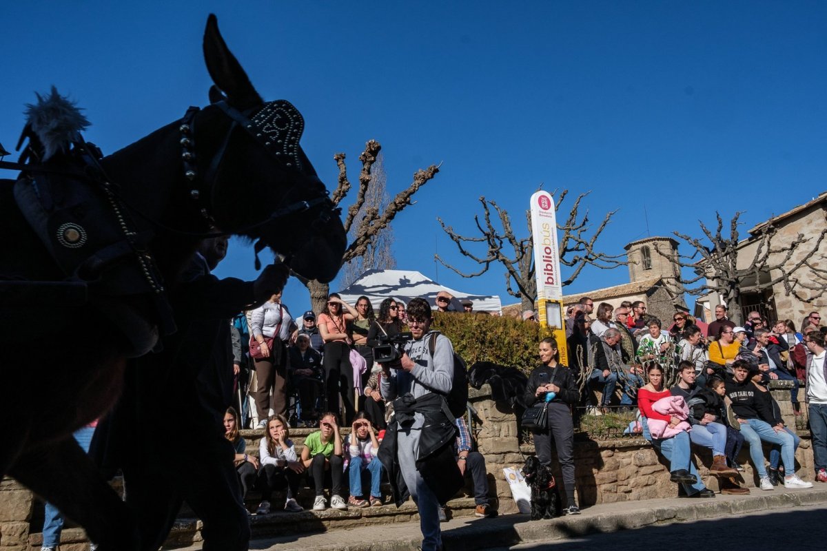 Una imatge del passant de l'any passat