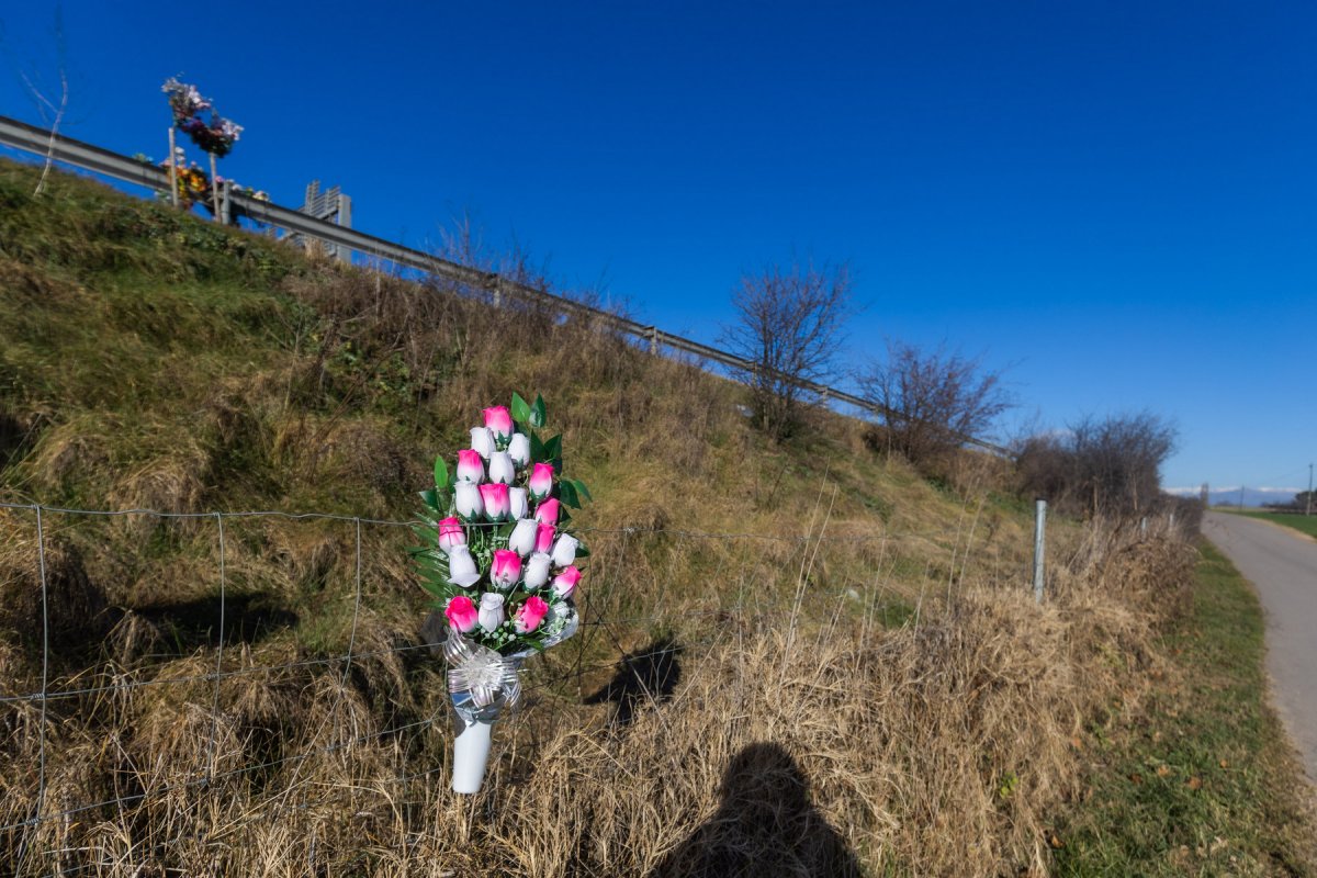 Un dels rams que es pot veure des de la carretera paral·lela a la C-17, on hi va haver l'accident