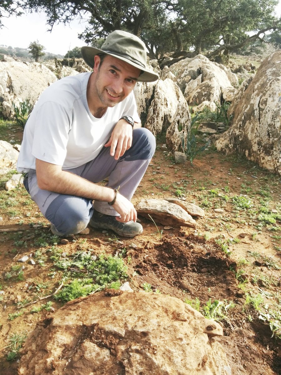 Roger Vila, investigador de l'IBE veí de Cardedeu, amb un termiter al Marroc(1)