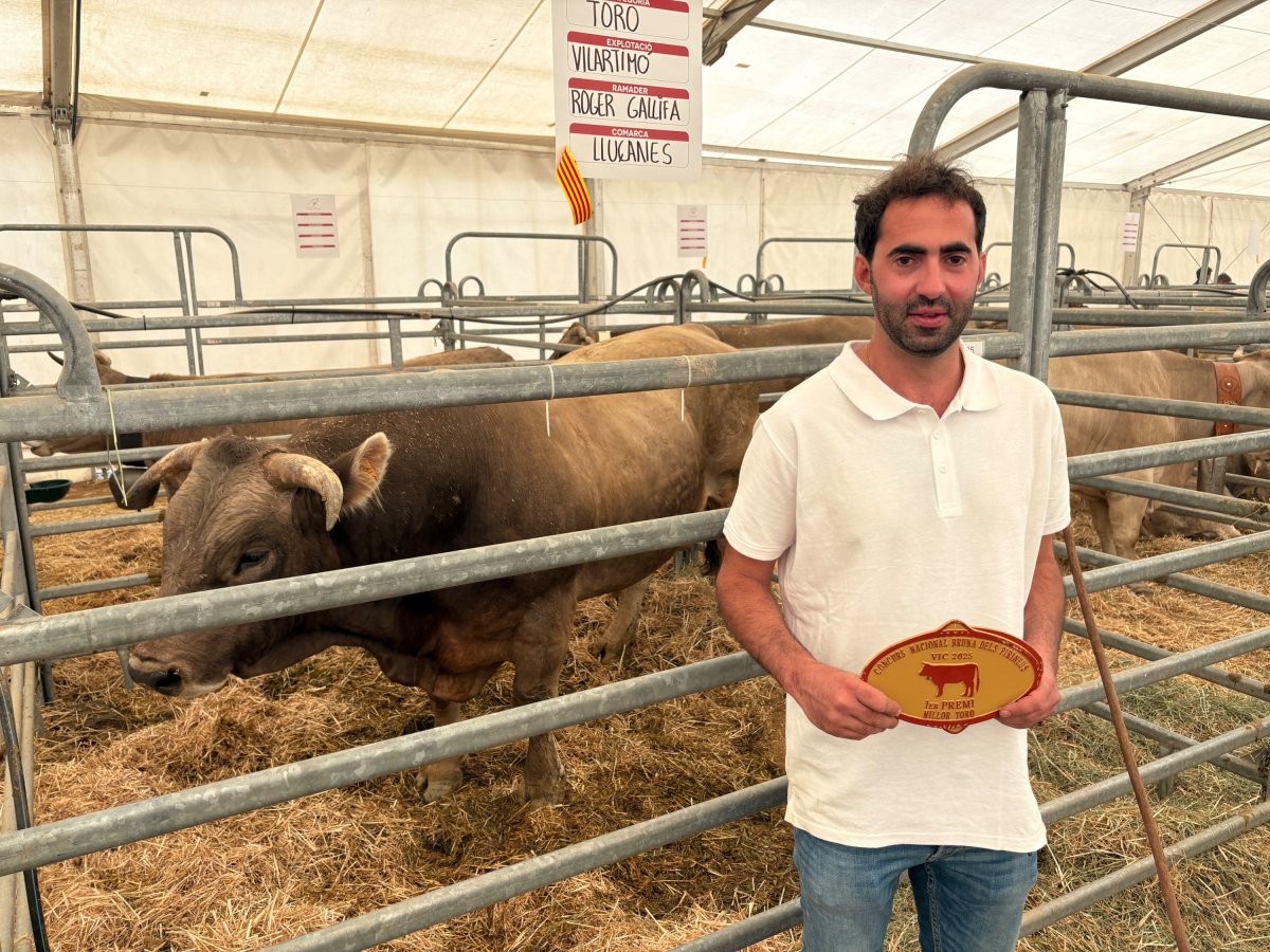 Roger Gallifa amb el toro escollit millor exemplar del concurs