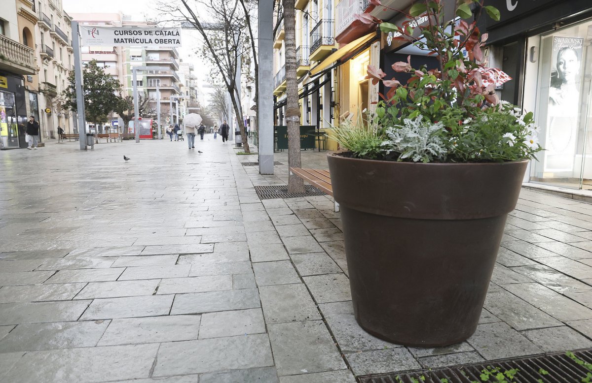 Una de les jardineres amb forma de test que s'han col·locat