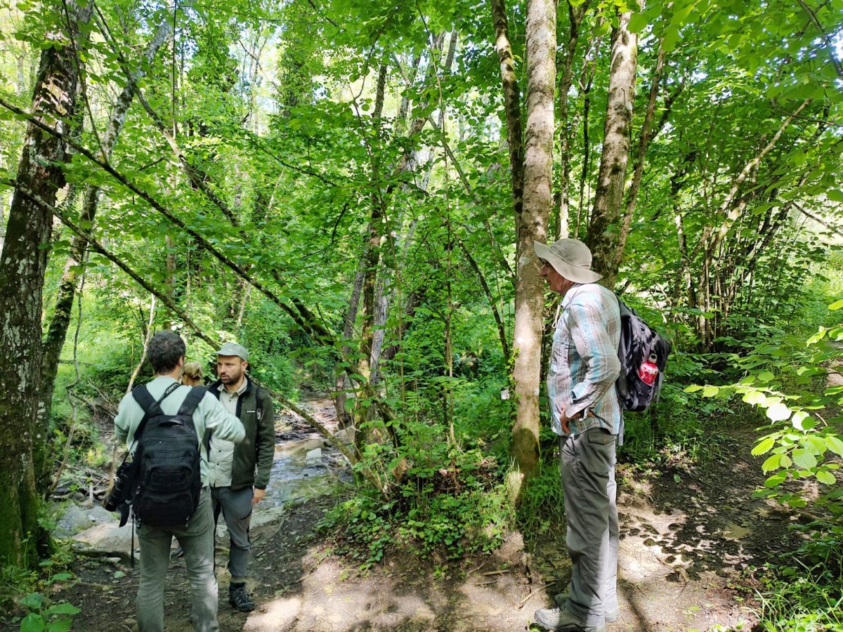 Alguns dels operadors internacionals que van visitar el Montseny durant la setmana passada