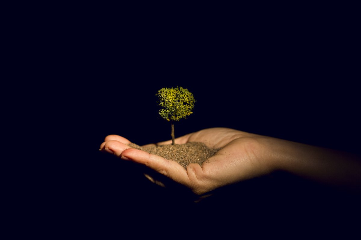 Teatre d'objectes amb 'An-ki'