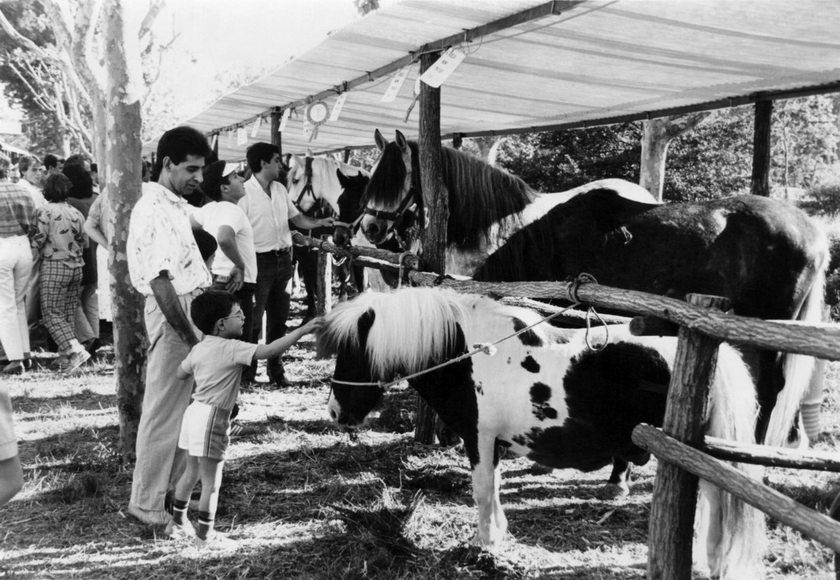 El 1986 la Fira de Sant Isidre ja incorporava l’espai del bestiar com un dels elements centrals