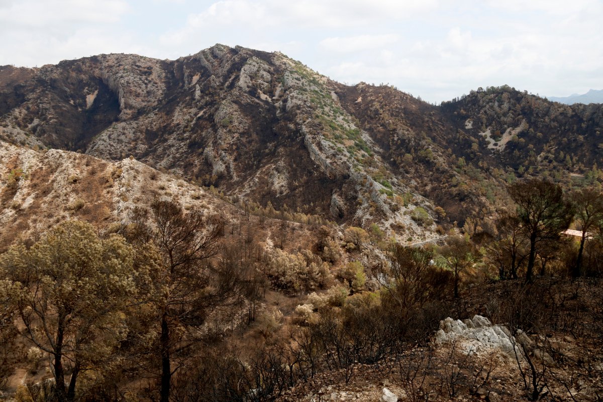 La zona afectada per l'incendi