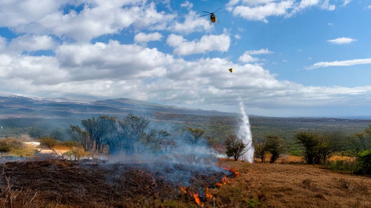 L'empresa adquirida reforçarà les solucions aèries per a l'extinció d'incendis de Vallfirest