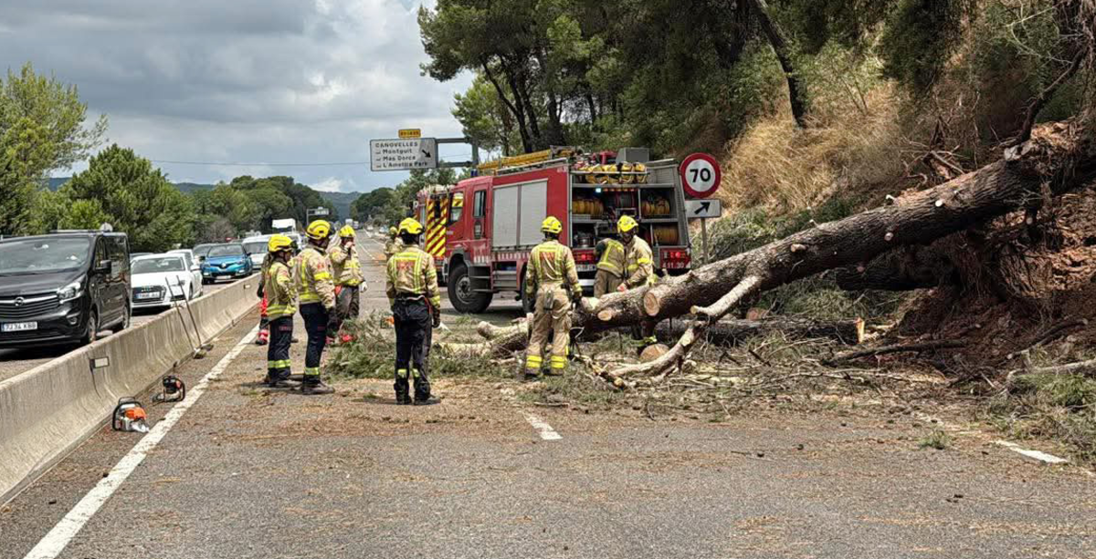 Un arbre caigut per la pluja va obligar a tallar la C-17 a l'alçada de Canovelles