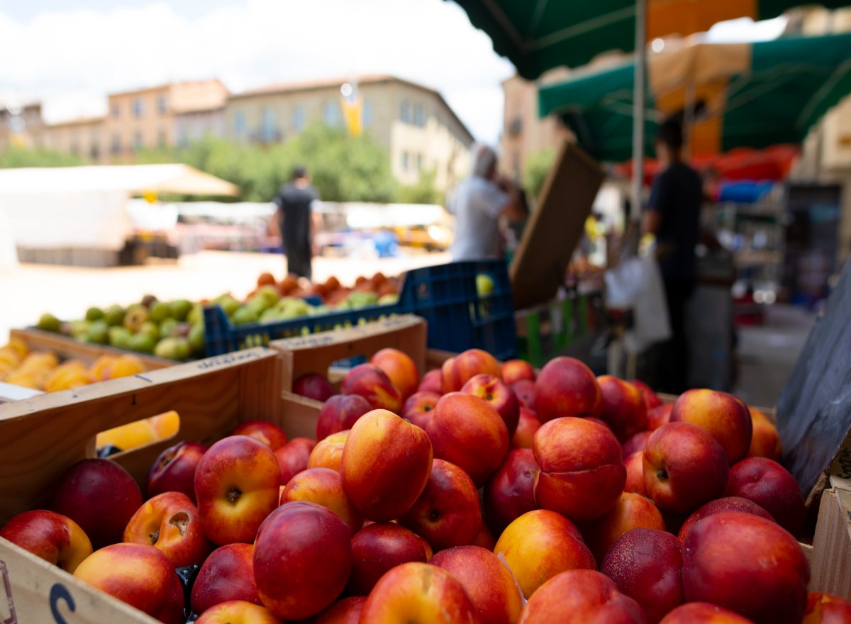 Mercat de pagès de Manlleu, Osona