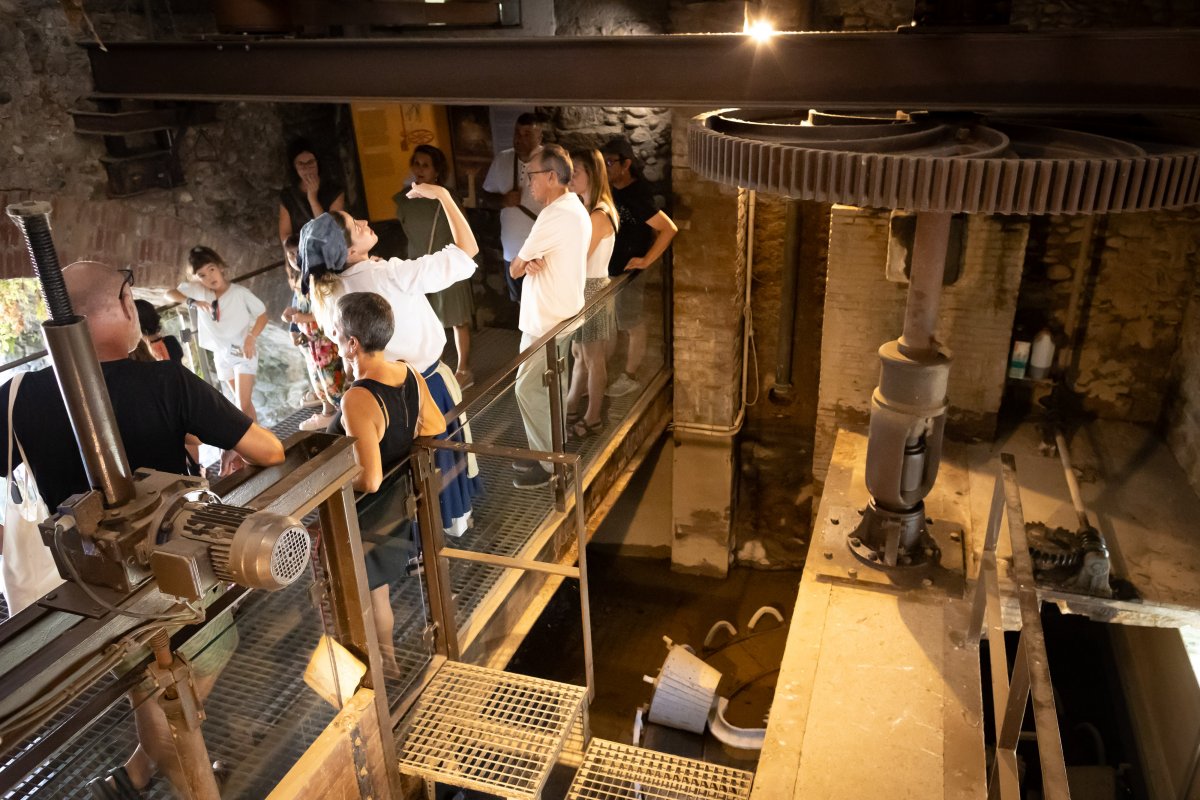 Des de l'any 2007 han pogut gaudir d'aquesta visita més de 10.000 persones