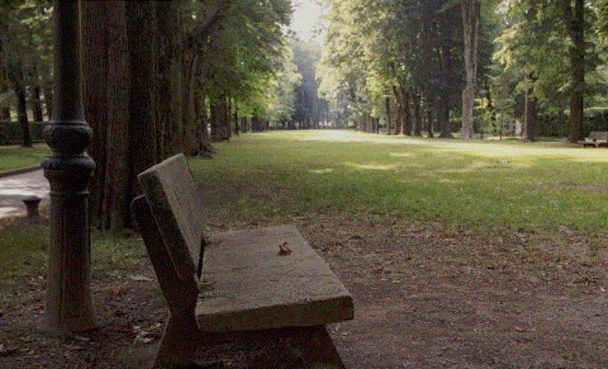 El passeig Maristany és un dels paratges més emblemàtics, envoltat de natura, que ofereix la vila