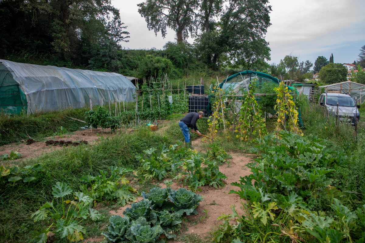 Les hortes de Sant Julià, que són al costat de les Set Fonts, un vespre d’aquesta setmana