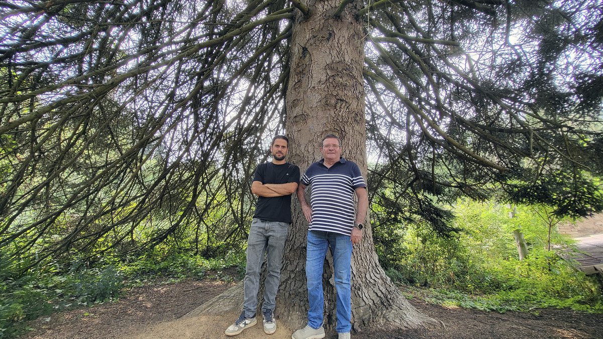 David i Ramon Masferrer, sota l’avet de Masjoan, plantat el 1956