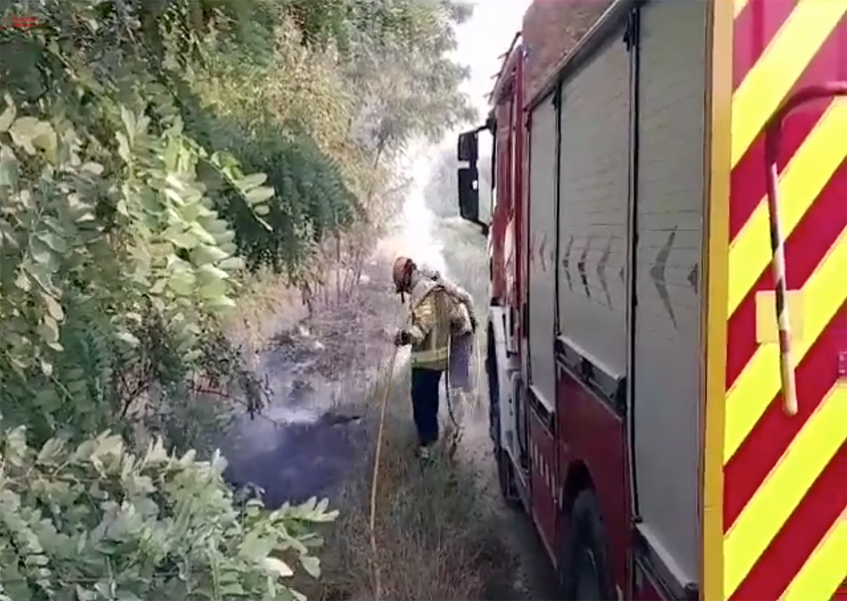 Bombers treballant en l'incendi de sotabosc a la llera del Ter