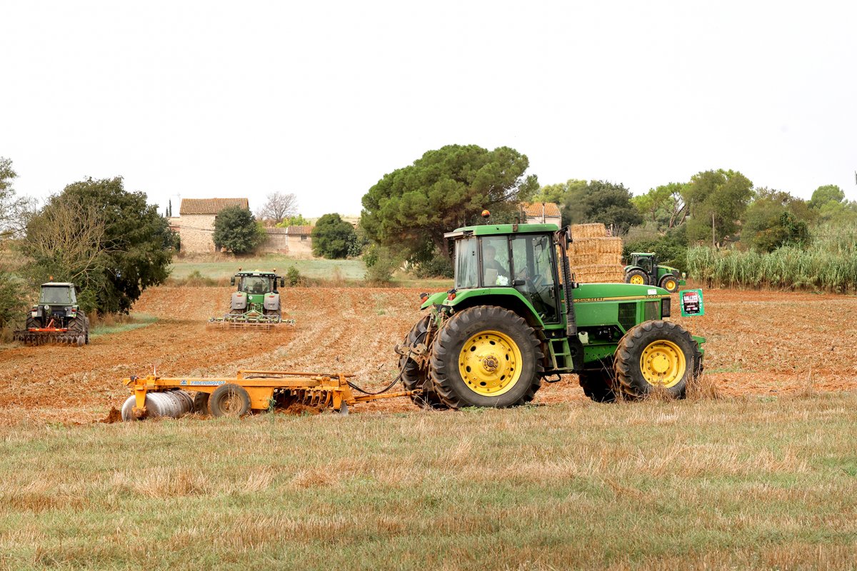Els pagesos han decidit començar a llaurar les terres fins que no surti la sentència