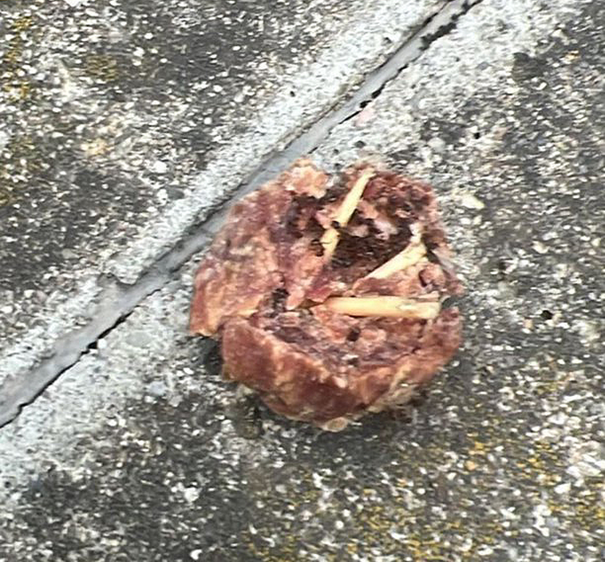 Un dels trossos de carn