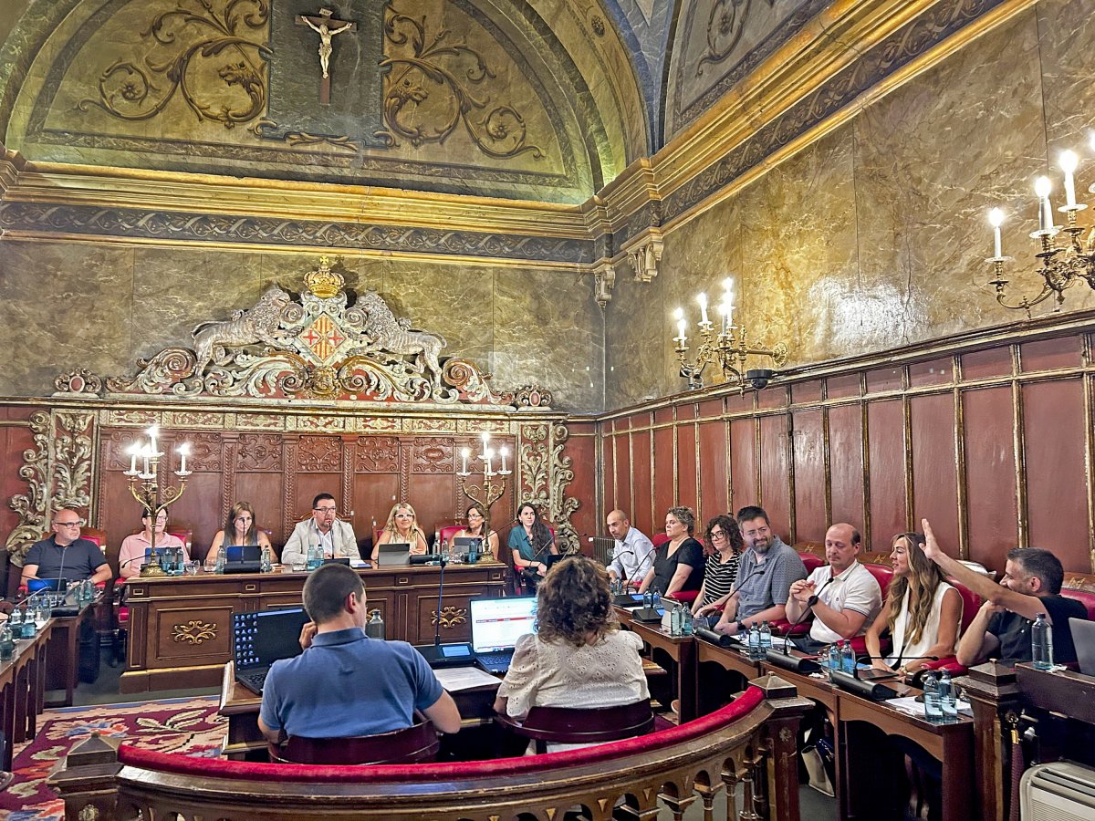 El moment en què es va abstenir Arnau Martí, al ple de dilluns