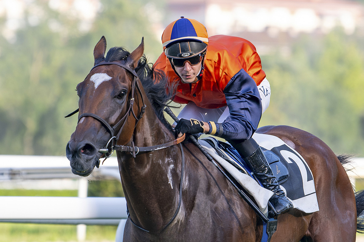Sanber, en plena cursa de Sant Sebastià, on ha protagonitzat la marca històrica de guanyar-ne cinc en tres mesos