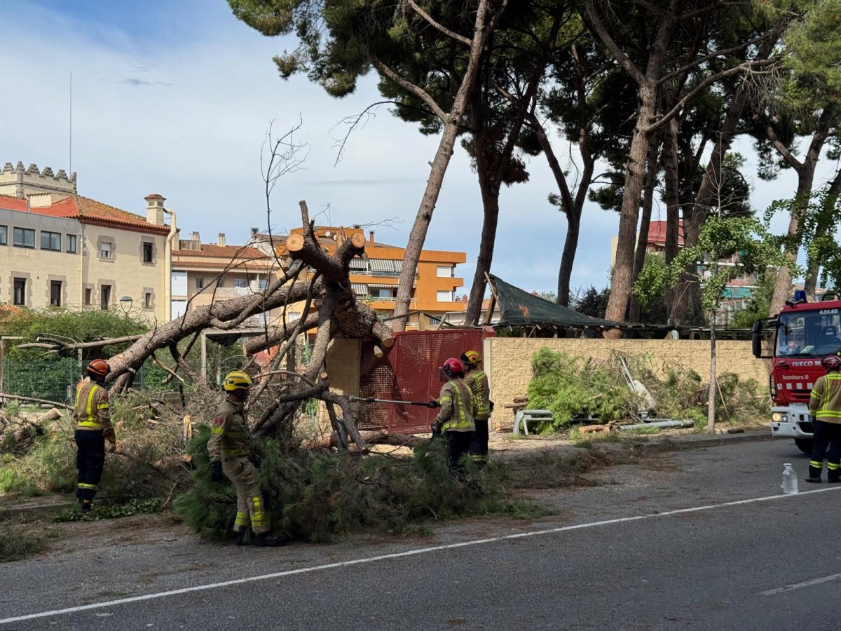 Els bombers treballant per retirar l'arbre