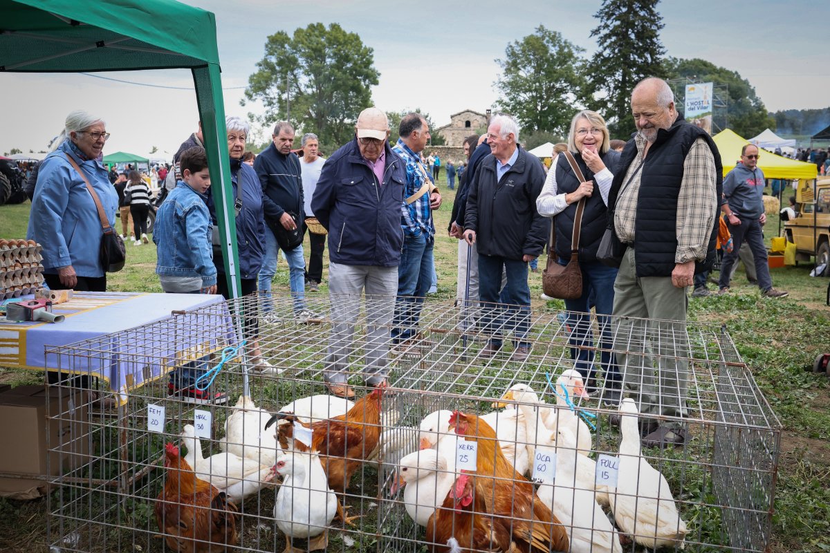 Visitants de la Fira de l'Hostal del Vilar, aquest diumenge, observant l'aviram